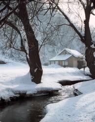 Természet - A Szinva-patak a havas Hámori-völgyben