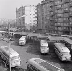 Városkép - Buszpályaudvar