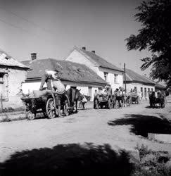 Mezőgazdaság - Földműves-szövetkezet a Balaton környékén