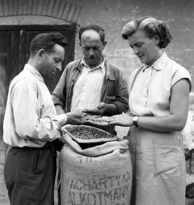 Mezőgazdaság - Növénytermesztés - Magtermeltető Vállalat