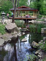 Természet - Szentendre - Közösségi japán kert a városban