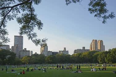 Városkép - New York - Central Park