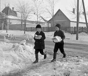 Gazdaság - Állattenyésztés - Disznóvágás a nagytarcsai Rákóczi Tsz-ben