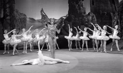 Kultúra - A tánc története című balettfilm forgatása