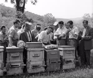 Mezőgazdaság - Jugoszláv méhészeti küldöttség látogatása
