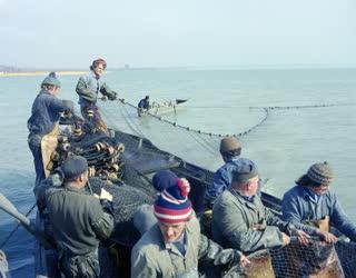 Foglalkozás - Balatoni halászok