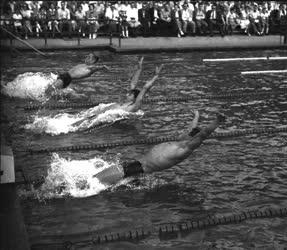 Sport - Úszás - Magyar-francia úszóválogatott