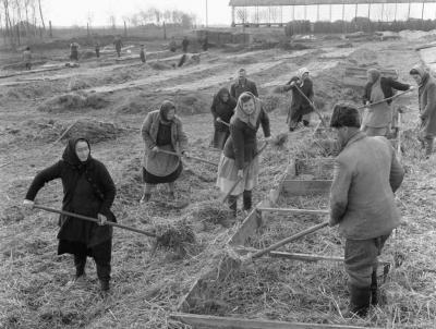 Mezőgazdaság - Kora tavaszi munkák a Tápiómentén