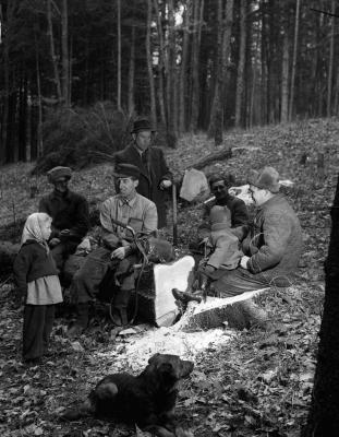 A szerző válogatása - A Soproni Tanulmányi Erdőgazdaságban