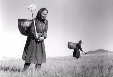 Tájkép - Mongólia - Mezőgazdasági munka