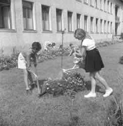 Városfejlesztés - Parkosítás a kőbányai iskolánál