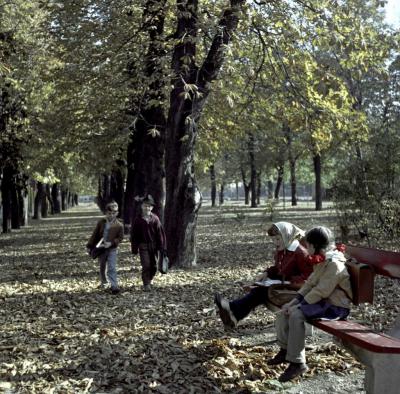 Életkép - Gyerekek egy parkban