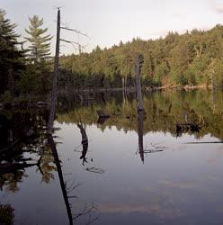 Tájkép - Kanada - Algonquin Nemzeti Park