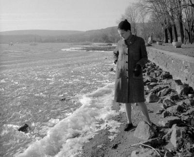 Tájkép - Időjárás - Tél a Balatonon