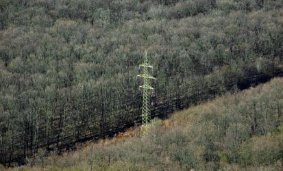 Energiaszolgáltatás - Budapest - Elektromos távvezeték az erdőn át