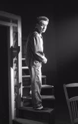 Kultúra - Színház - Arthur Miller: Az ügynök halála