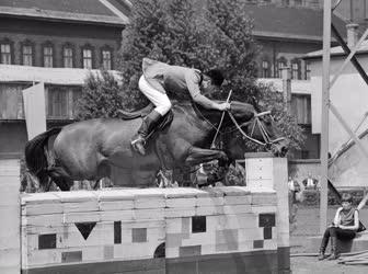 Sport - Lósport - 1967. évi lovasbajnokság