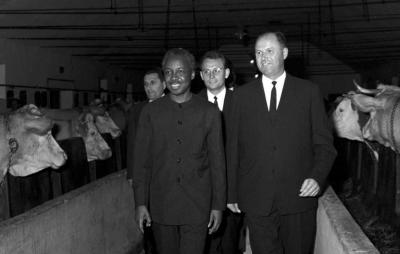 Külpolitika - Julius Nyerere Magyarországon