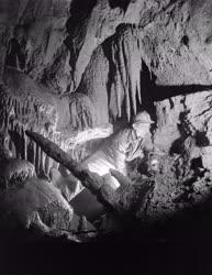 Barlangászat - Új barlang a Bükkben