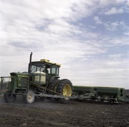Mezőgazdaság - Gépesítik a kukoricatermesztést a Bábolnai Állami Gazdaságban