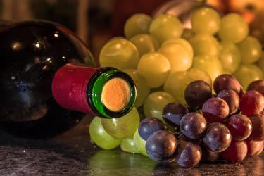 Tárgyfotó - Szigetszentmiklós - Szőlő és bor