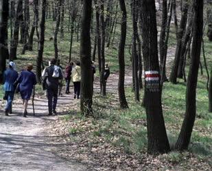 Természet - Életkép - Szabadidő - Kirándulók a Pilisben