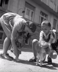 Életkép - Utcán játszó gyerekek