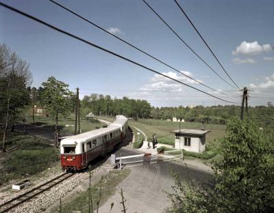 Közlekedés - Úttörővasút a Budai-hegységben