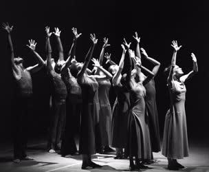 Kultúra - Az Alvin Ailey táncszínház vendégszereplése Budapesten