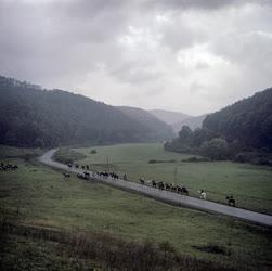 Szabadidő - Sport - Lovastúra