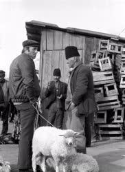 Hagyomány - Kereskedelem - Bárányvásár Bánfihunyadon