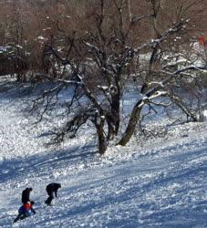 Szabadidő - Budapest - Fiatalok a havas Normafa-lejtőn