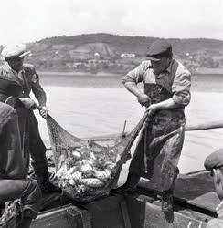 Mezőgazdaság - Halászat 