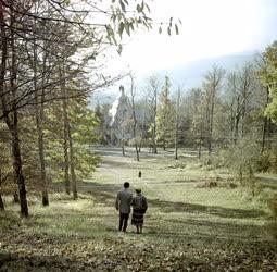 Természet - Szabadidő - Sétálók az erdőben