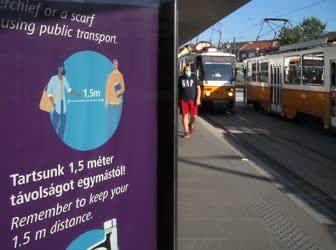 Közlekedés - Budapest - Utastájékoztatás villamosmegállóban