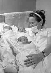 Egészségügy - Hármasikrek születtek Újpesten