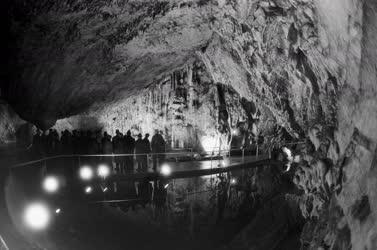 Természet - Az Aggteleki-cseppkőbarlang