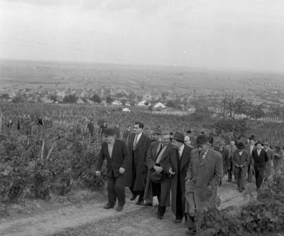 Történelem - Dobi István a szekszárdi Béke Tsz-ben