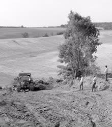 Mezőgazdaság - Koppányvölgyi talajvédelem