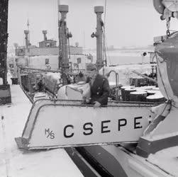 Közlekedés - Hazaérkezett a Csepel Duna-tengerjáró hajó