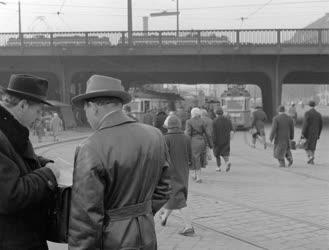 A szerző válogatása - A Boráros tér