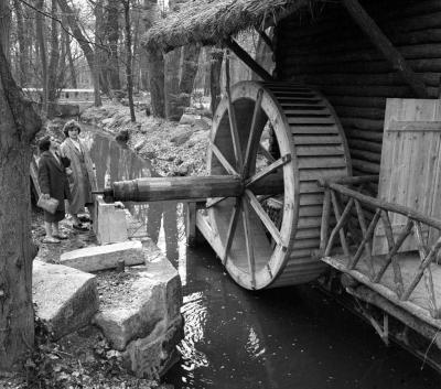 A szerző válogatása - Őspark Vácrátóton