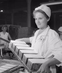 Élelmiszeripar - Kockacukorgyártás a Szerencsi Cukorgyárban