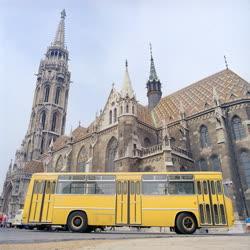Közlekedés - Új típusú Ikarus buszok