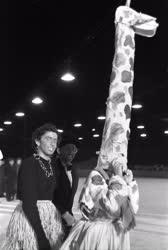 Életkép - Ifjúsági jégkarnevál a győztes zsiráffal