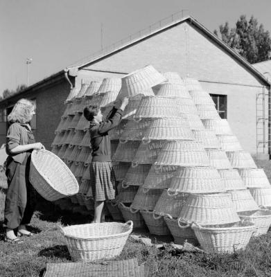 Kisipar - Békés megyei Kosáripari Vállalat