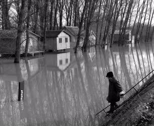 Árvizi helyzetkép a Tisza mellett