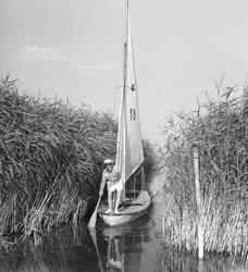 Természet - Életmód - A Balaton 