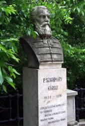 Köztéri szobor - Budapest - Szathmáry Károly szobra a Lovas utcában