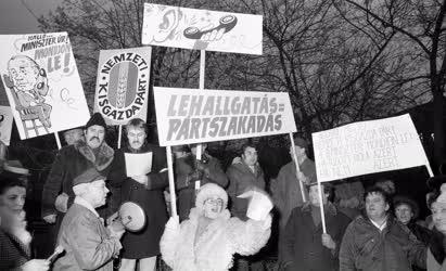Belpolitika - Dunagate-ügy - A Nemzeti Kisgazda- és Polgári Párt tüntetése